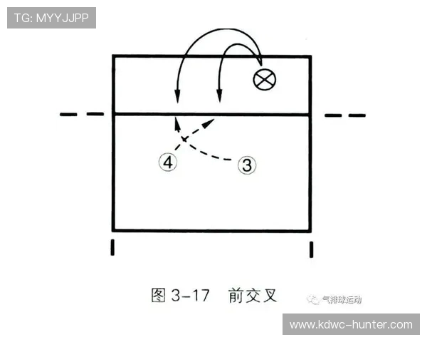 上海乒乓球队快攻战术解析与实战应用探讨