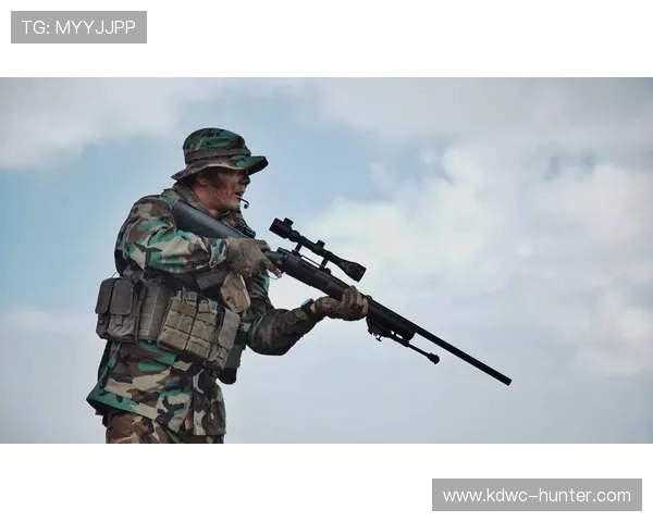 武汉极限运动队区域防守分析与战术调整探讨